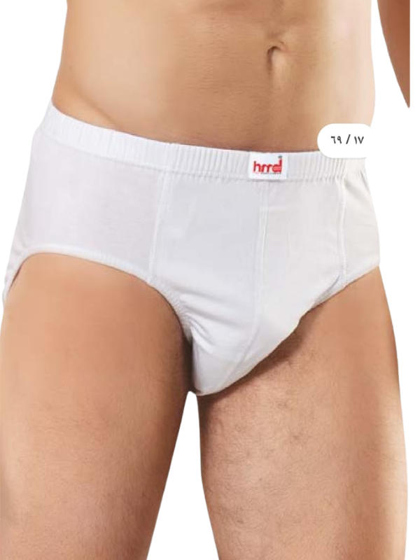 Erkek %100 Pamuklu Klasik Kesim Slip-200